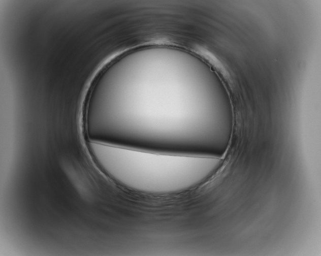 X0000100231331200805300718