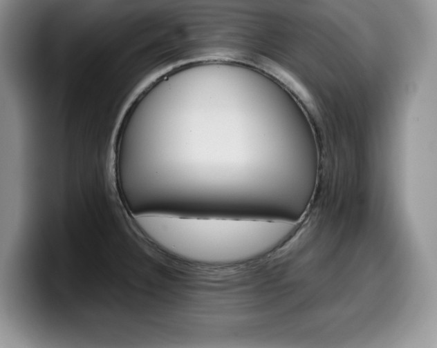 X0000100231332200805300718