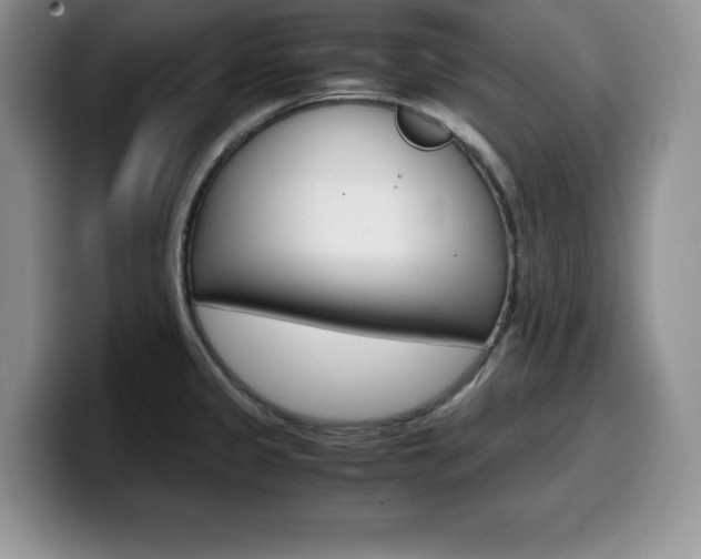 X0000100231333200805300718