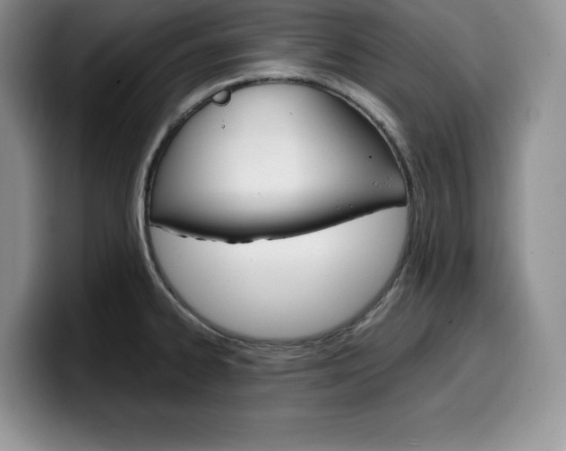 X0000100231334200805300718