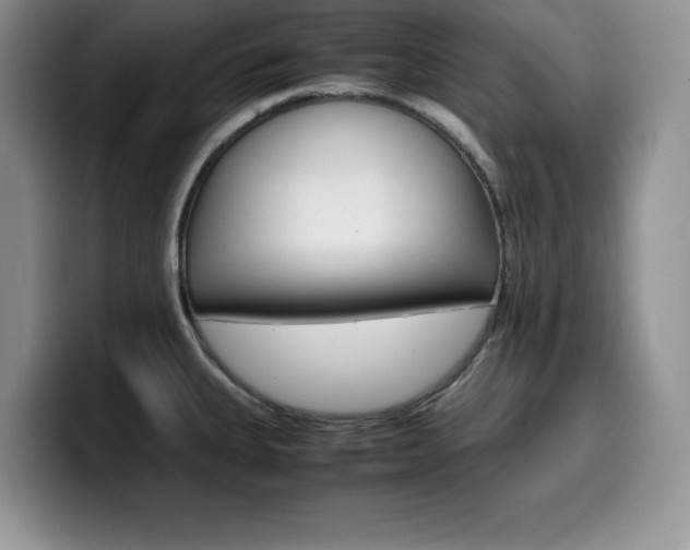 X0000100231335200805300718