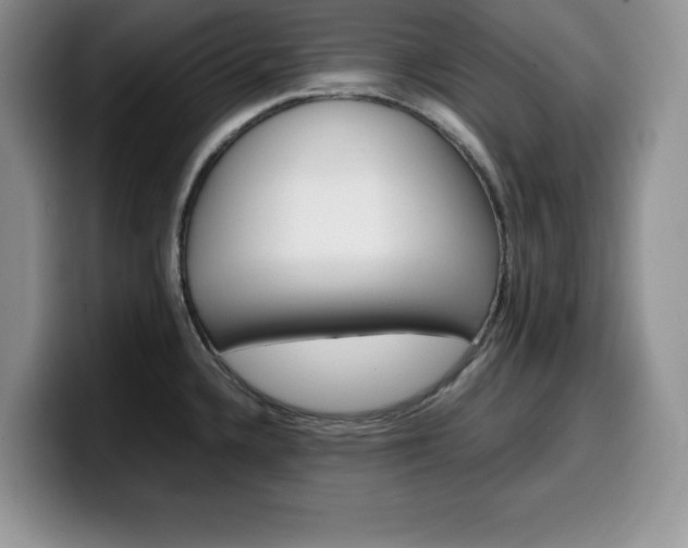 X0000100231336200805300718