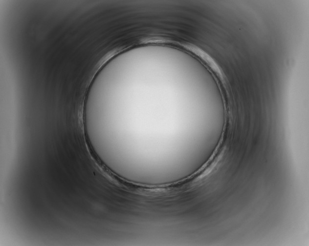 X0000100231337200805300718