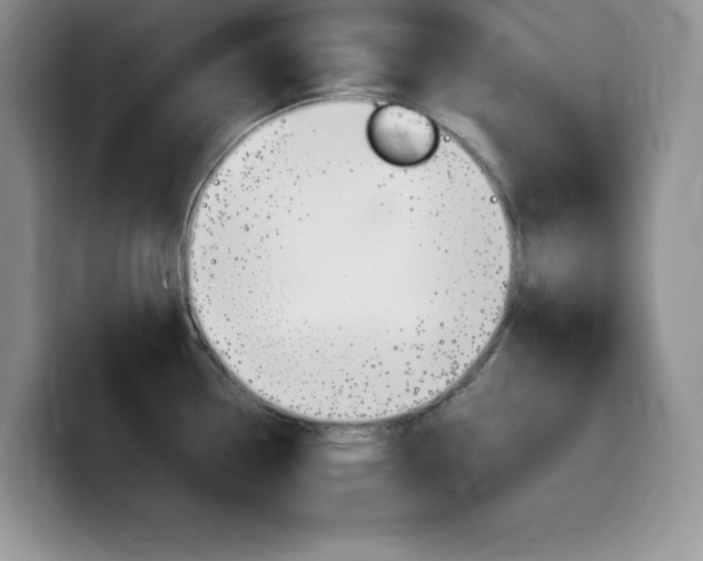 X0000100231338200805300718