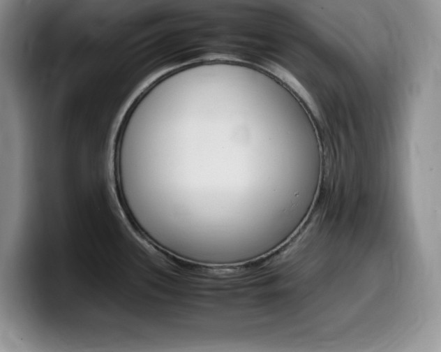 X0000100231339200805300718