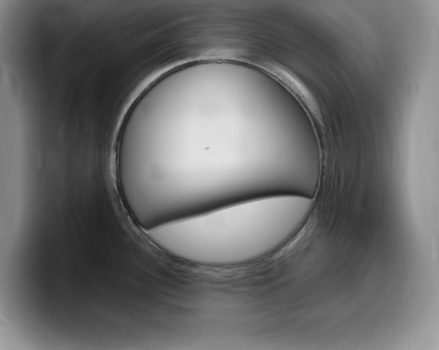 X0000100231340200805300718