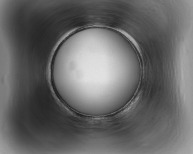 X0000100231341200805300718