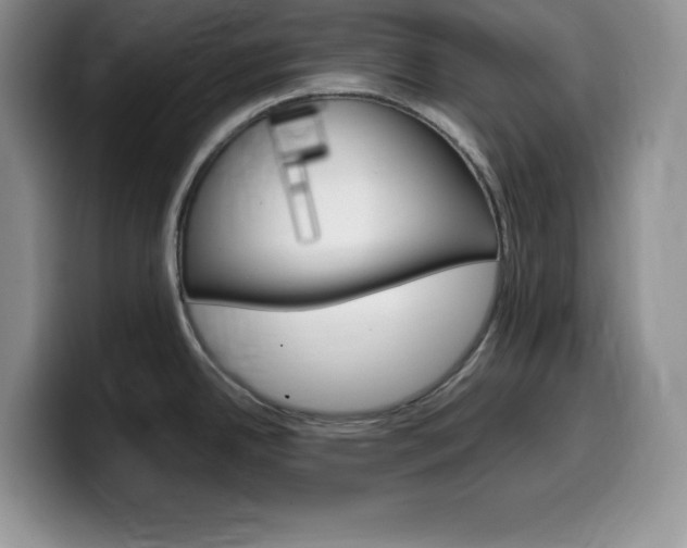 X0000100231342200805300718