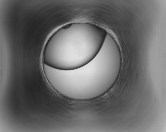 X0000100231344200805300718