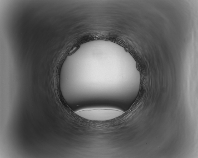 X0000100231345200805300717