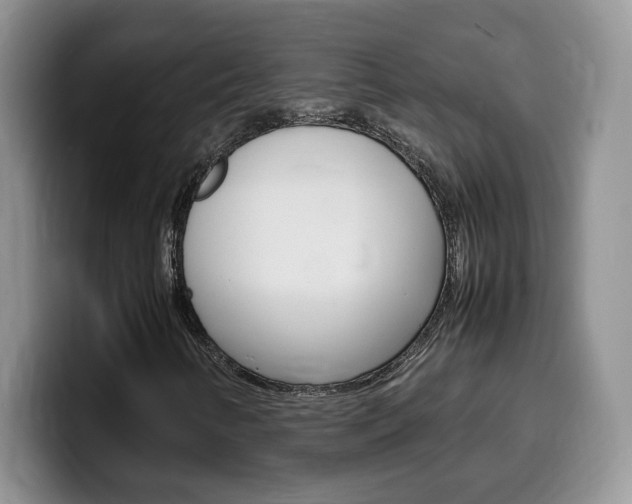 X0000100231346200805300717