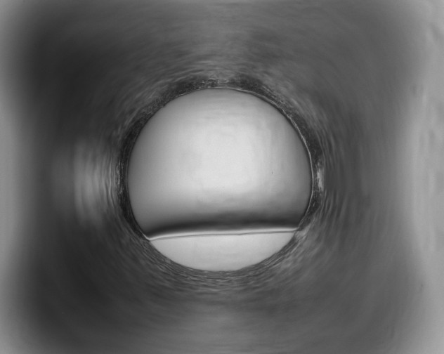 X0000100231347200805300717