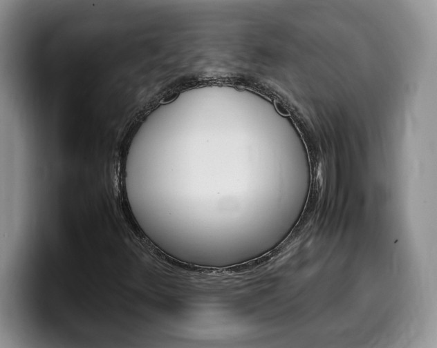 X0000100231348200805300717