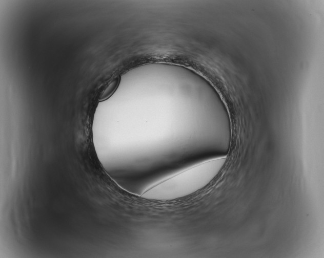 X0000100231349200805300717