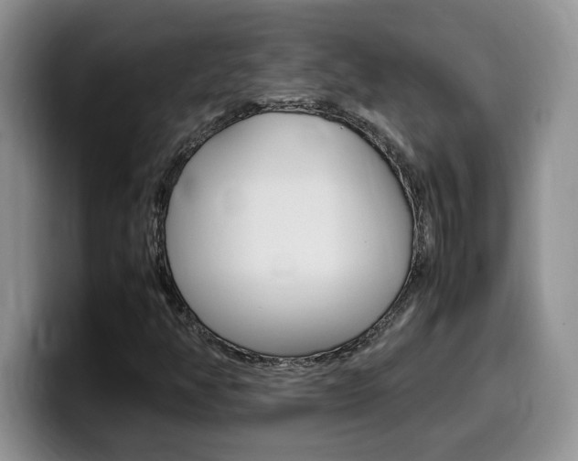 X0000100231350200805300717
