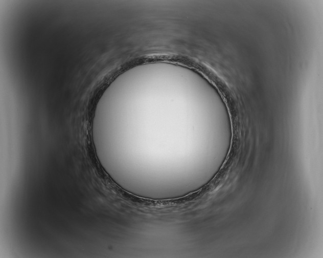 X0000100231351200805300717