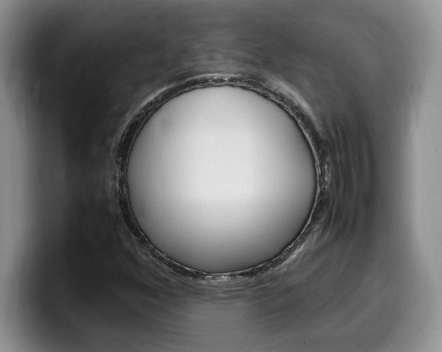 X0000100231352200805300717