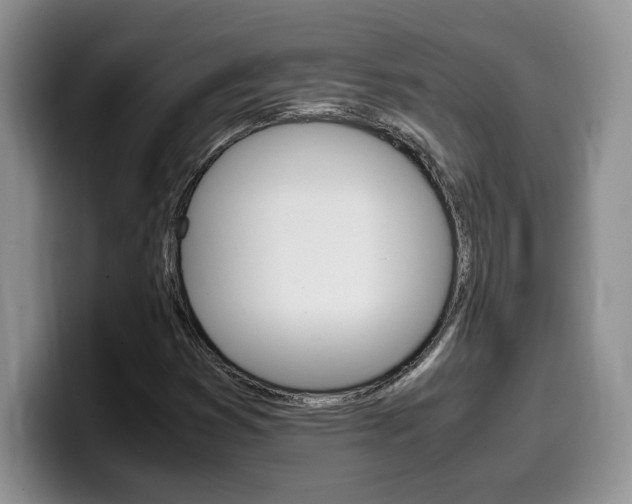X0000100231353200805300717