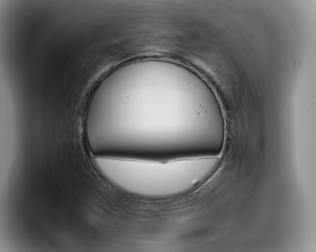 X0000100231355200805300717