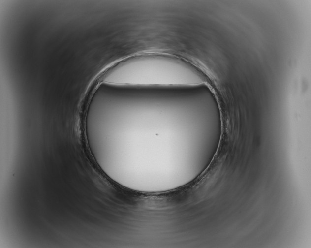 X0000100231356200805300717
