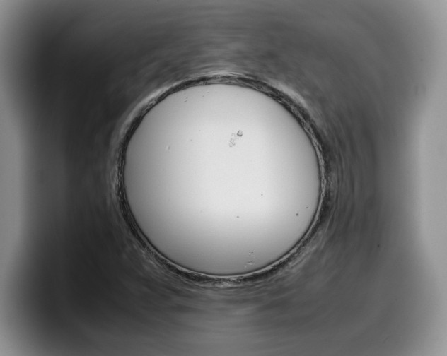 X0000100231359200805300717