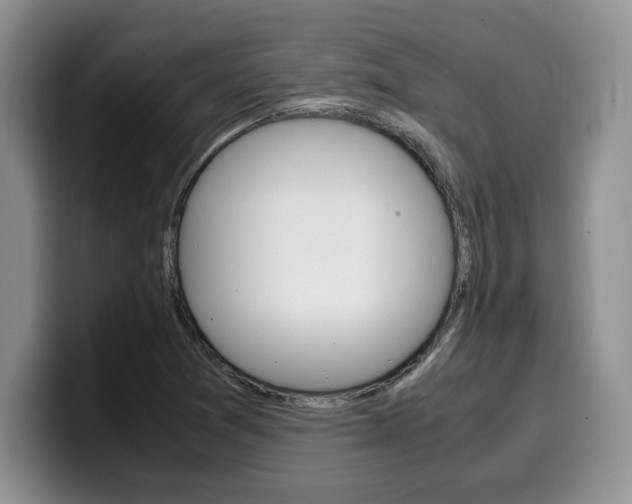 X0000100231361200805300717