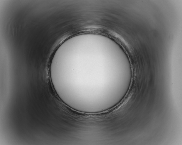 X0000100231362200805300717