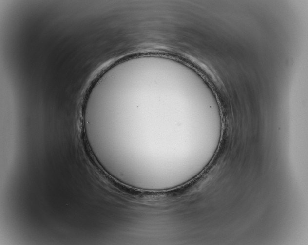 X0000100231363200805300717