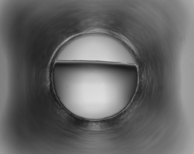 X0000100231364200805300717