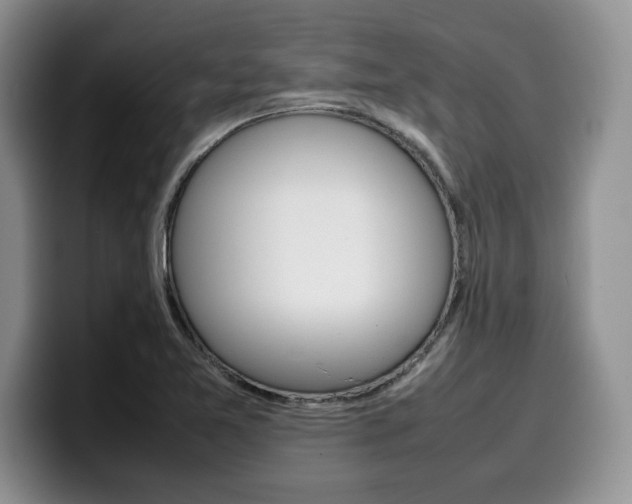 X0000100231365200805300717
