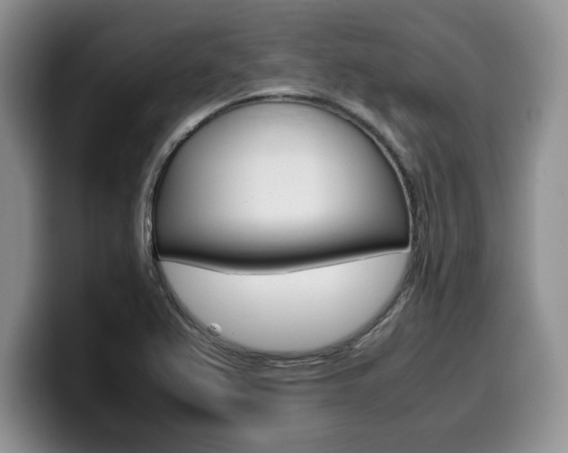 X0000100231367200805300717