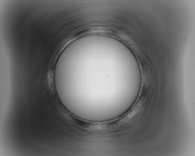 X0000100231369200805300717