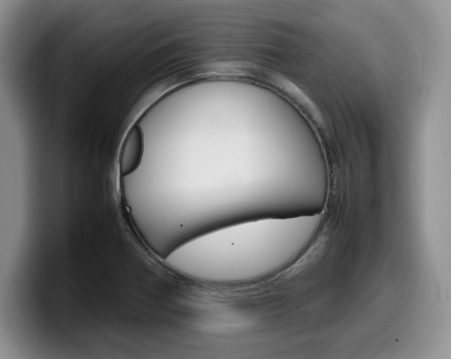 X0000100231370200805300717
