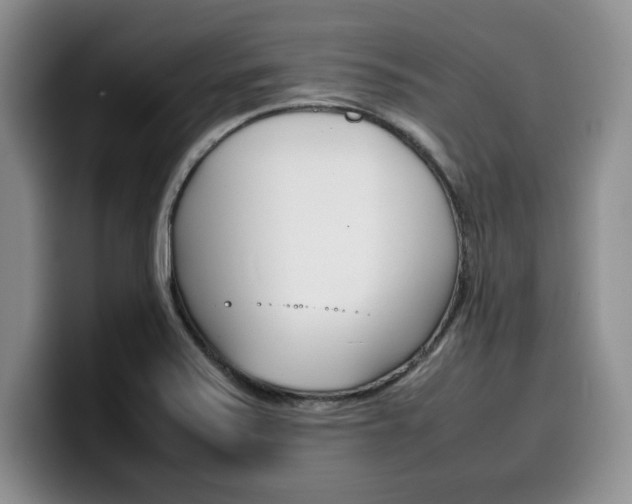 X0000100231371200805300717