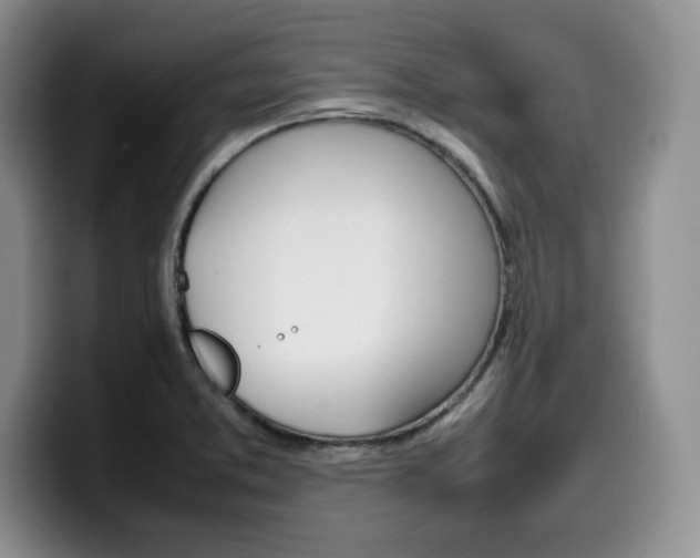 X0000100231373200805300717