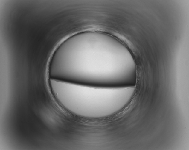 X0000100231375200805300717