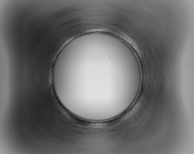 X0000100231377200805300717