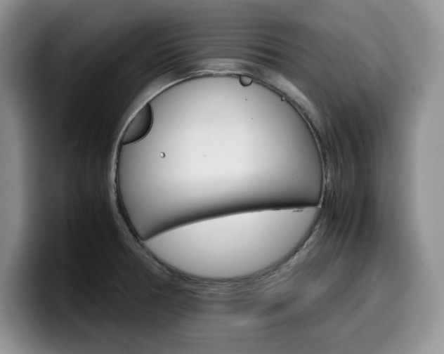 X0000100231378200805300717