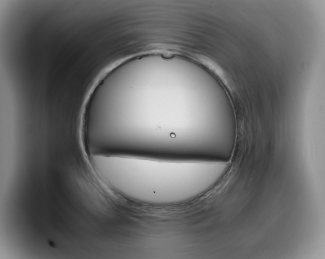 X0000100231379200805300717