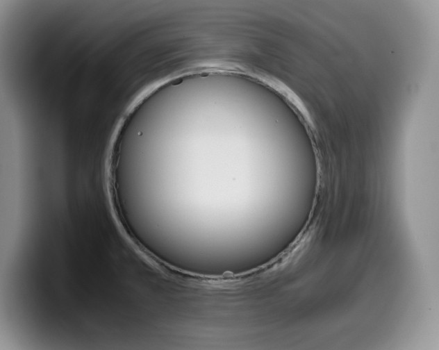 X0000100231381200805300717