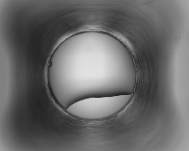 X0000100231382200805300717