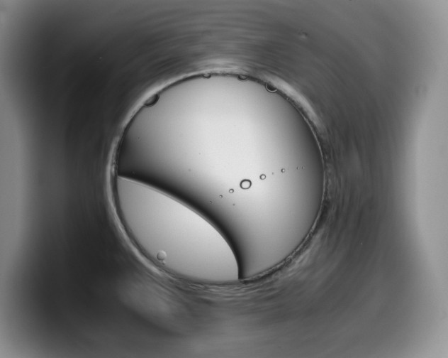 X0000100231383200805300717