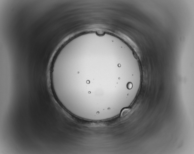 X0000100231384200805300717