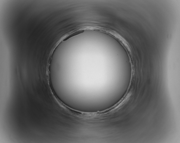 X0000100231385200805300717