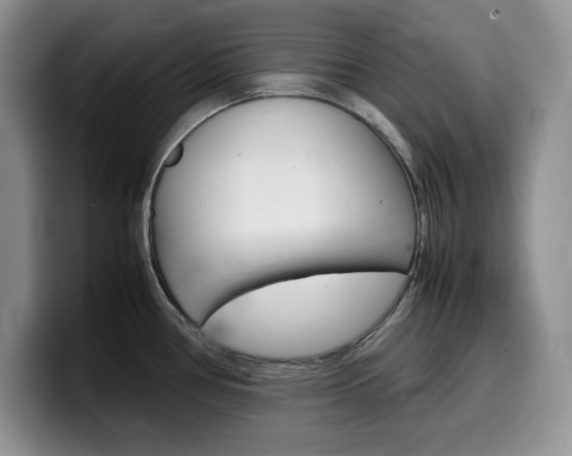 X0000100231386200805300717