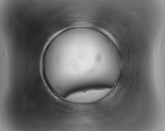 X0000100231387200805300717