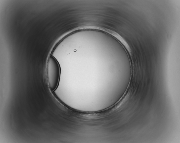 X0000100231388200805300717