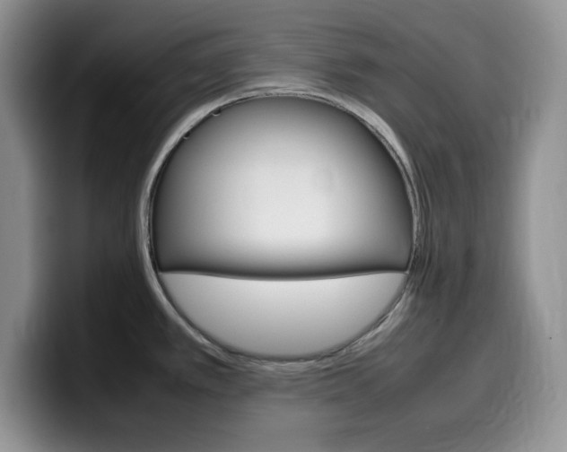 X0000100231389200805300717