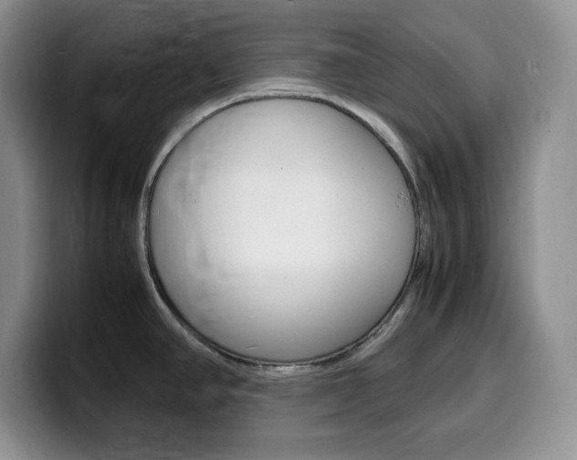 X0000100231390200805300717
