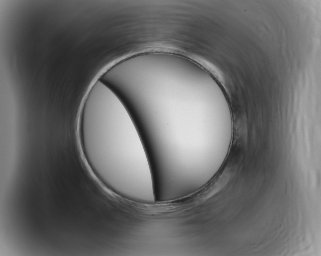 X0000100231391200805300717